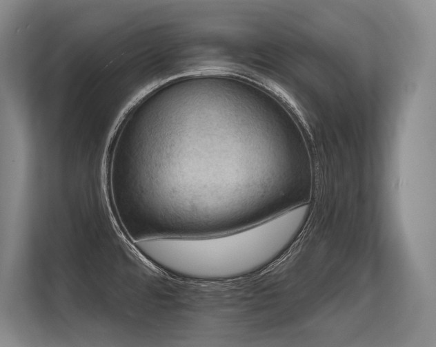 X0000113631480200909181507