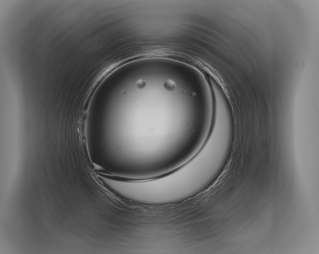 X0000113631481200909181507