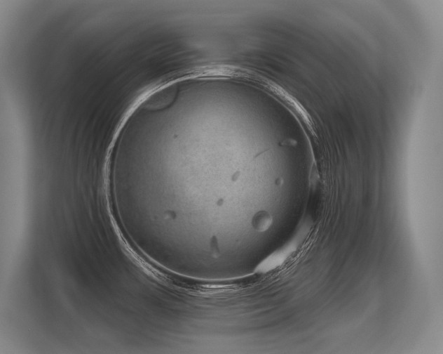 X0000113631483200909181506