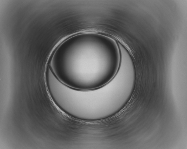 X0000113631484200909181506