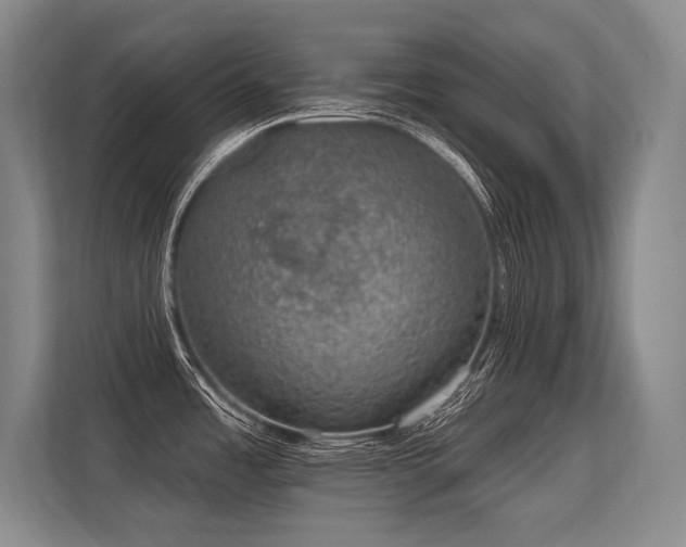 X0000113631485200909181506