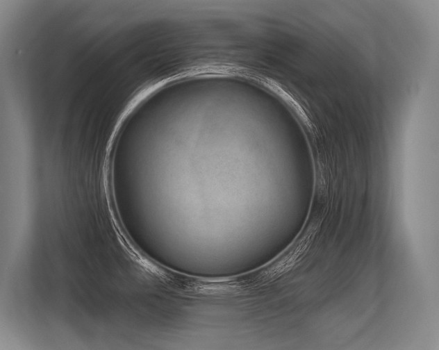 X0000113631486200909181506