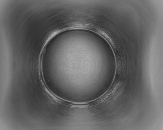 X0000113631487200909181506