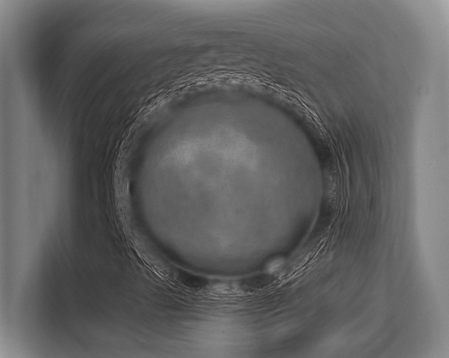 X0000113631489200909181506