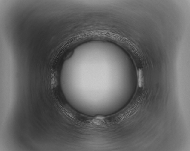 X0000113631491200909181506