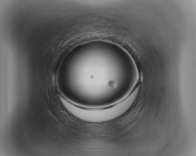 X0000113631492200909181506