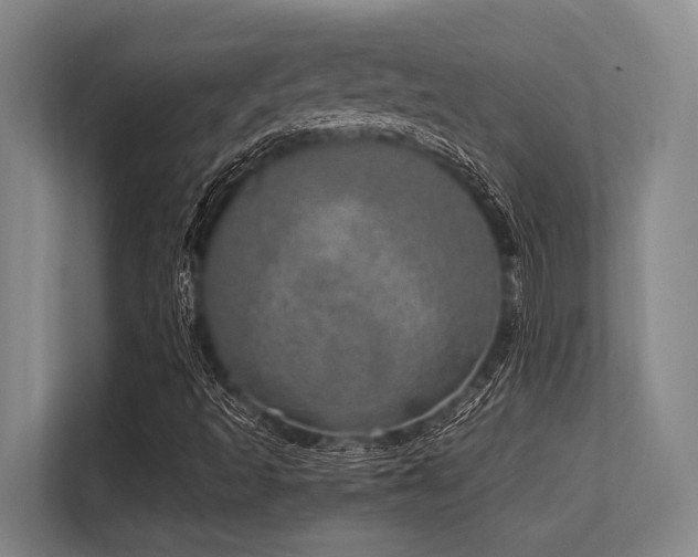 X0000113631493200909181506