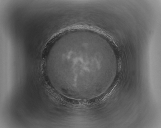 X0000113631494200909181506