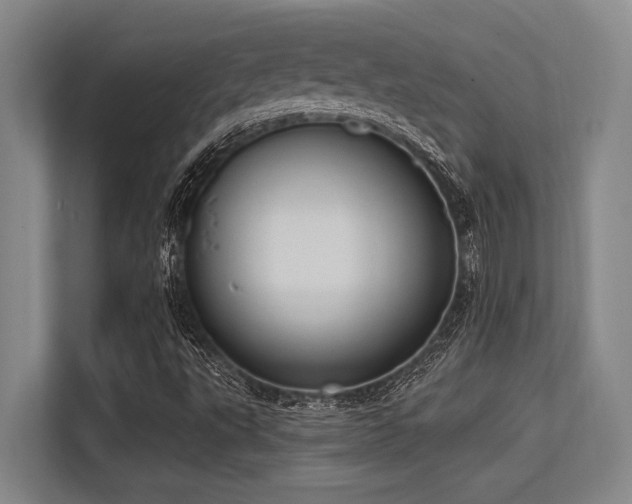 X0000113631495200909181506