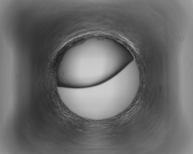 X0000113631496200909181506