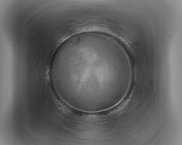 X0000113631497200909181506