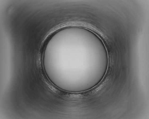X0000113631498200909181506