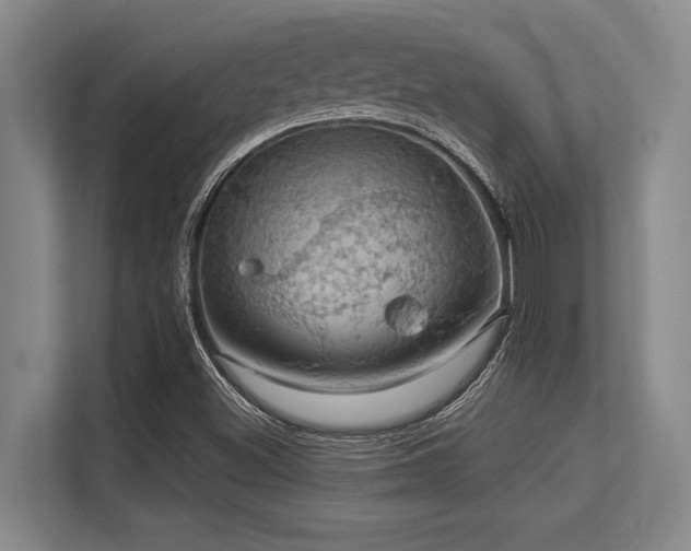 X0000113631500200909181506
