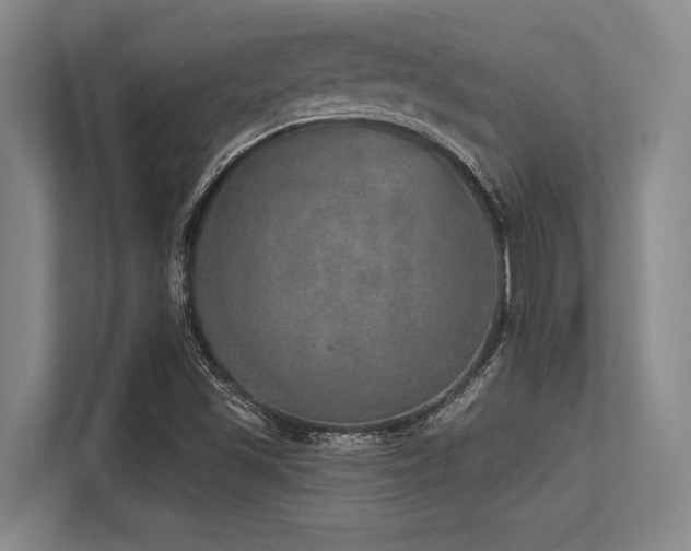 X0000113631501200909181506