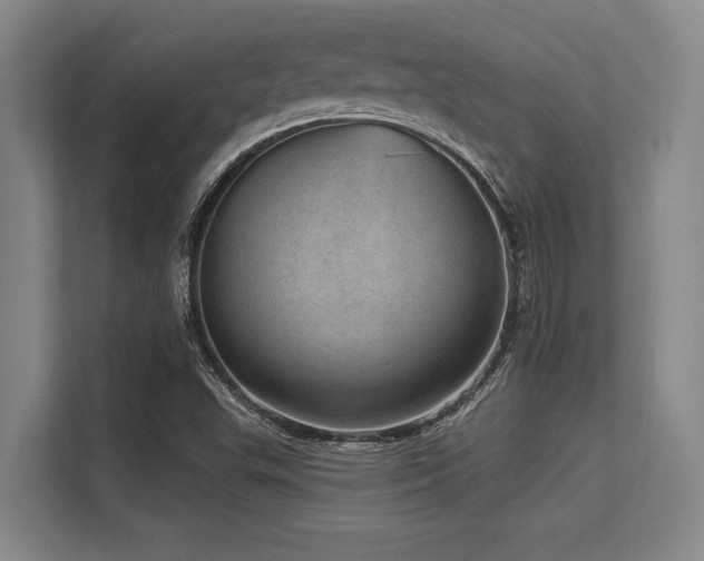 X0000113631503200909181506