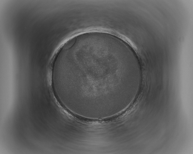 X0000113631504200909181506