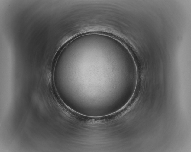 X0000113631505200909181506