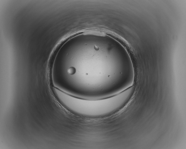 X0000113631506200909181506