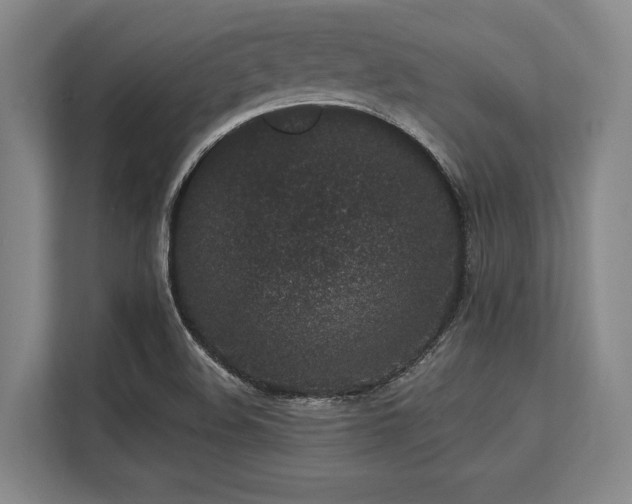 X0000113631508200909181506