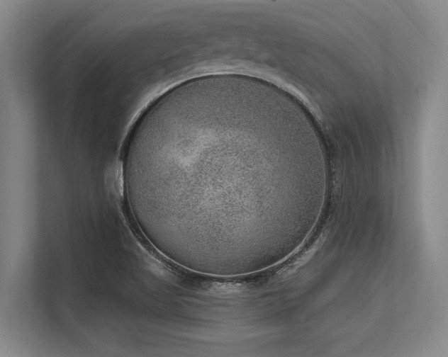 X0000113631509200909181506