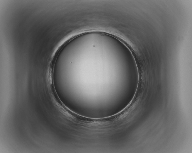 X0000113631510200909181506