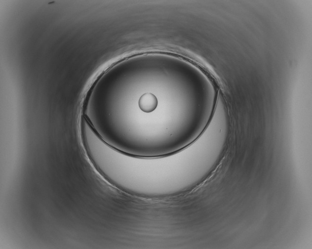 X0000113631512200909181506