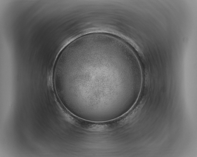 X0000113631513200909181506