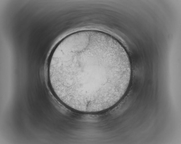 X0000113631514200909181506