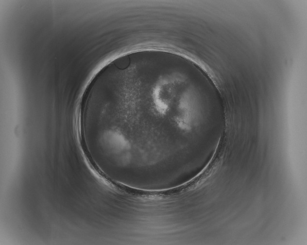 X0000113631515200909181506