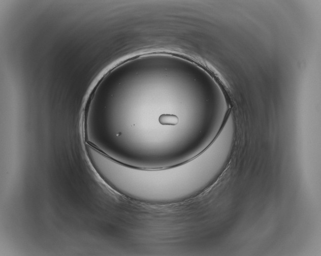 X0000113631516200909181506