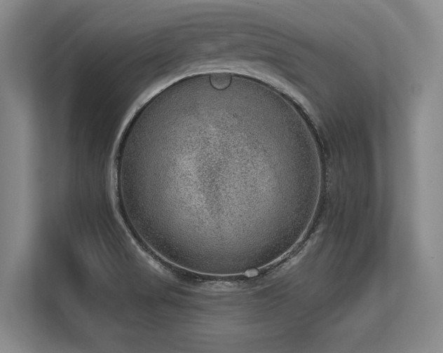 X0000113631517200909181506