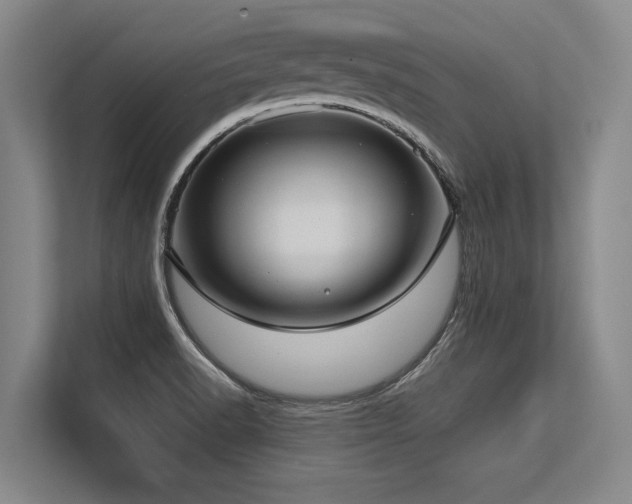 X0000113631518200909181506