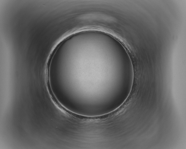 X0000113631519200909181506