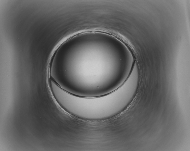 X0000113631520200909181506