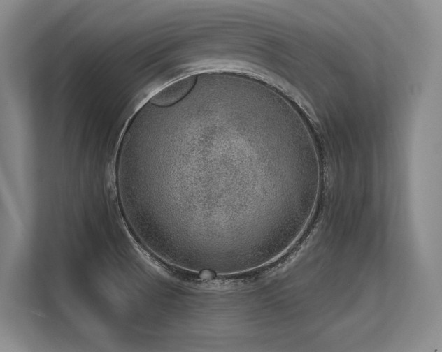 X0000113631521200909181506