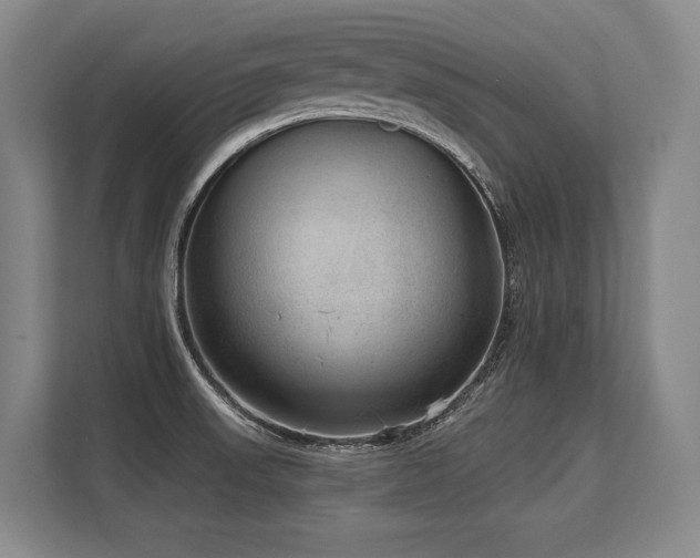 X0000113631523200909181506