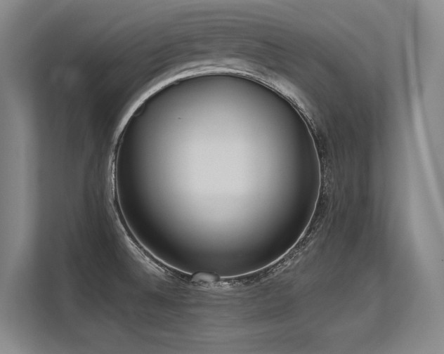 X0000113631524200909181506