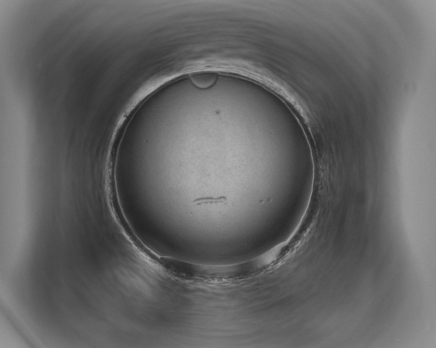 X0000113631525200909181506