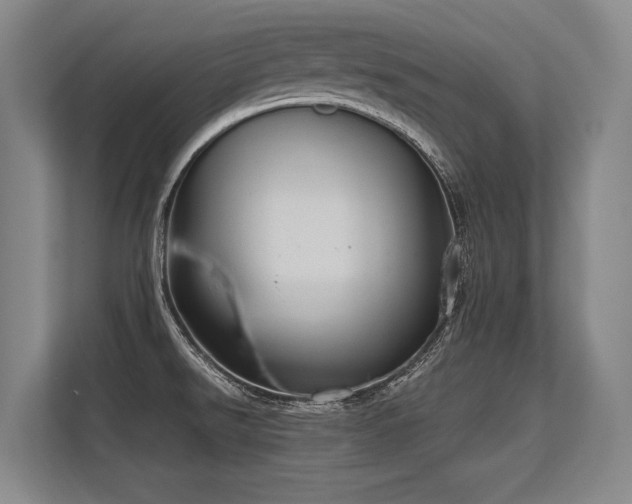 X0000113631526200909181506