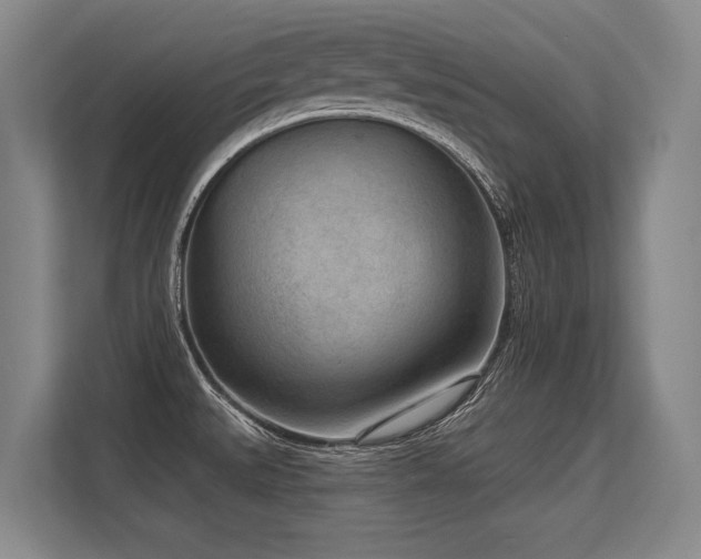 X0000113631527200909181506