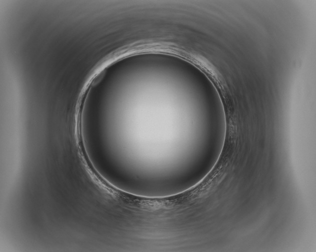 X0000113631528200909181506