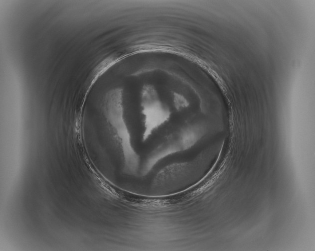 X0000113631529200909181506