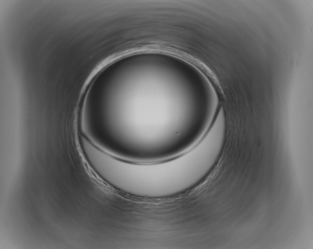 X0000113631530200909181506