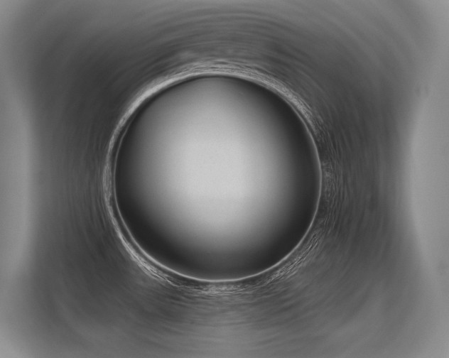 X0000113631531200909181506