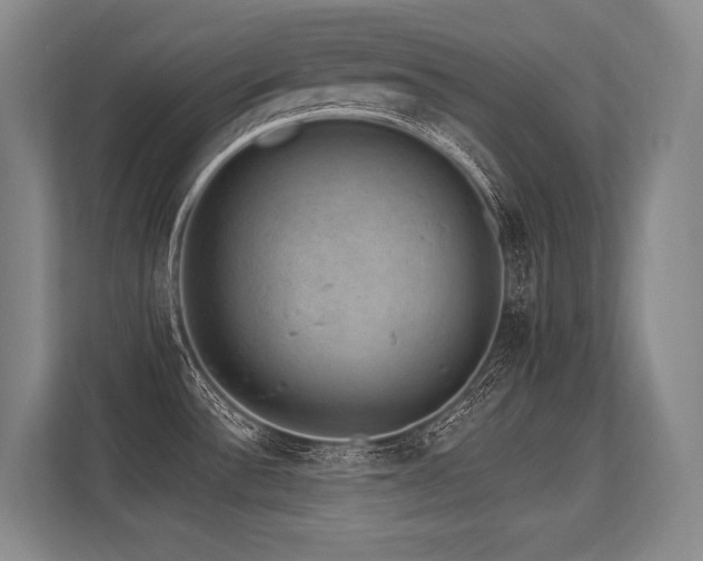 X0000113631532200909181506