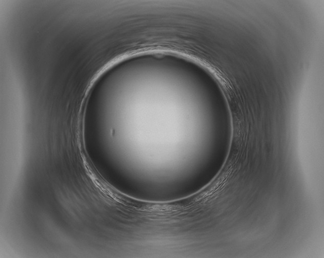 X0000113631534200909181506