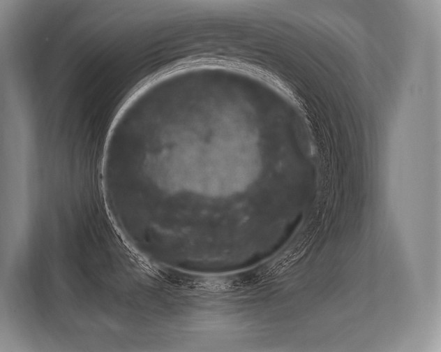 X0000113631536200909181506