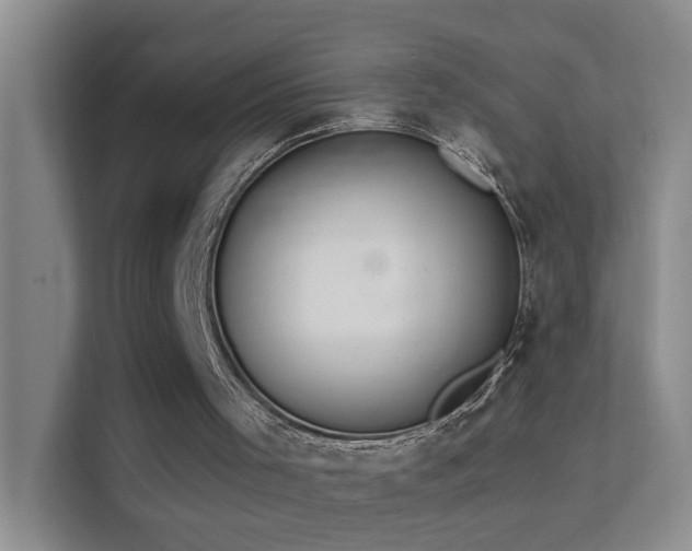 X0000113630001200909251230
