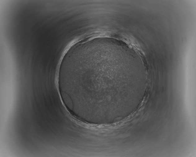 X0000113630003200909251230