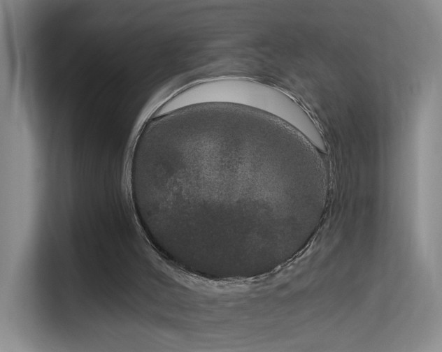 X0000113630004200909251230